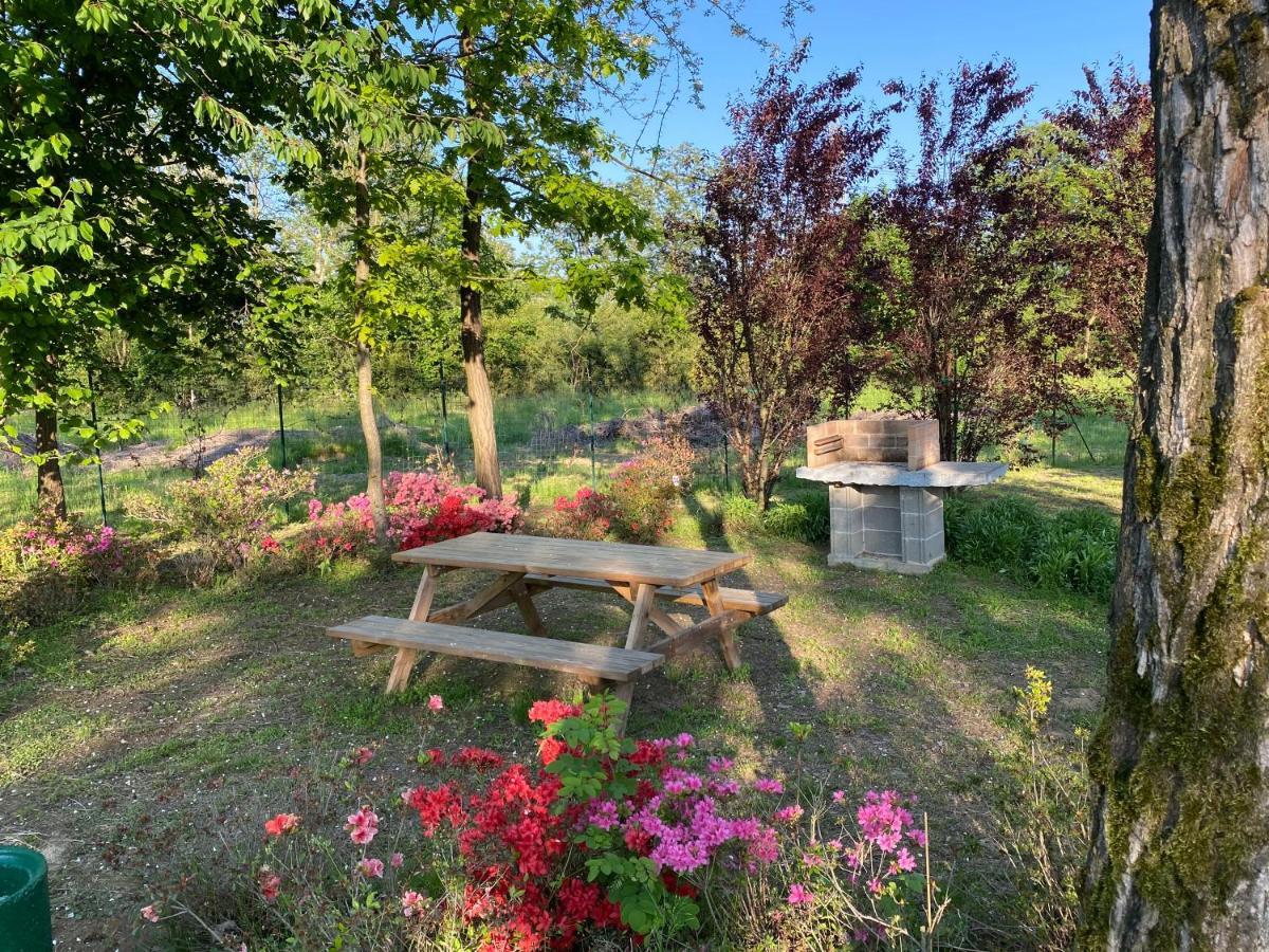 Oasilandia Bed and Breakfast Dorno Exteriör bild