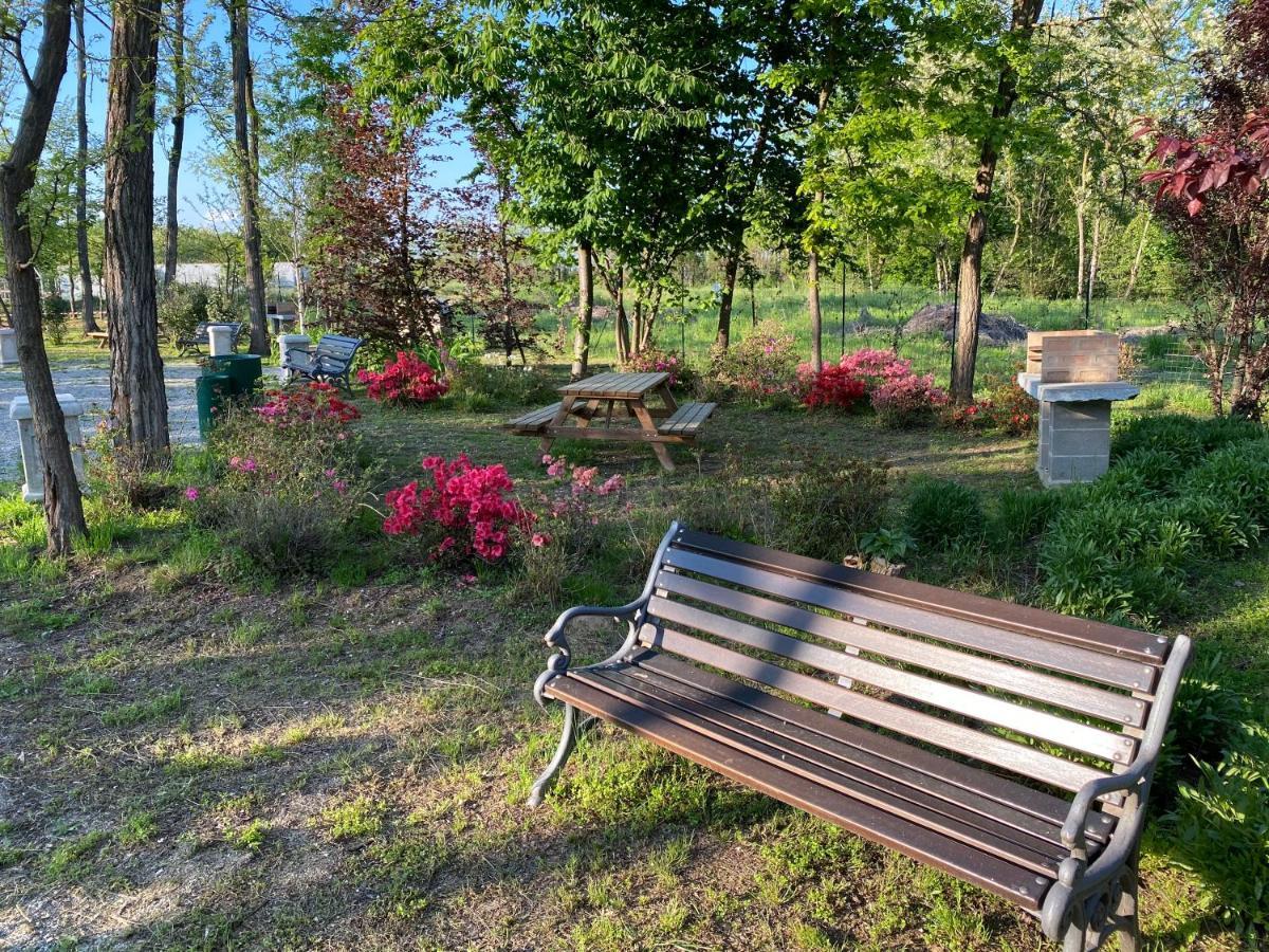 Oasilandia Bed and Breakfast Dorno Exteriör bild